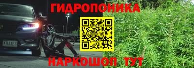 трава Заволжье