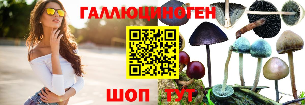Псилоцибиновые грибы Cubensis Краснокаменск